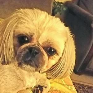 Meet your Posher, Ericka